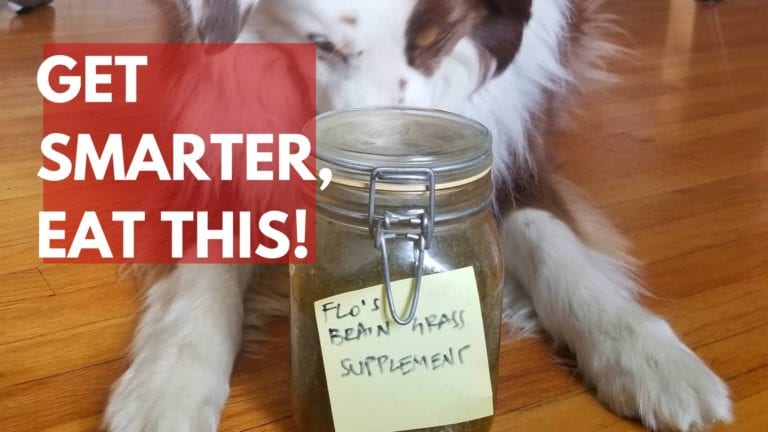 Flo's Brain Grass Supplement