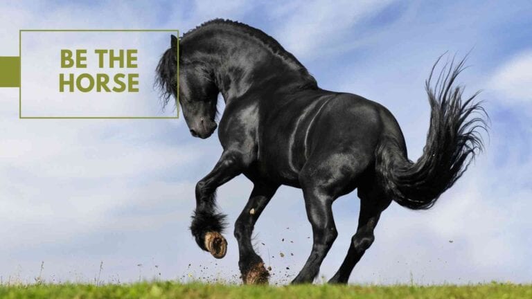 Be the horse