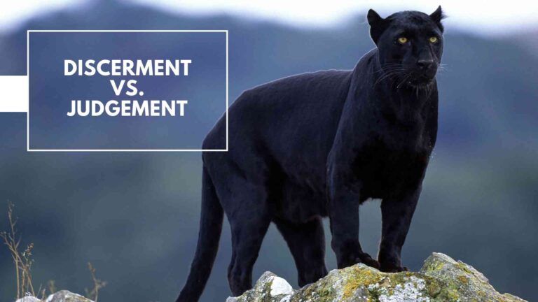 Discernment vs. Judgement