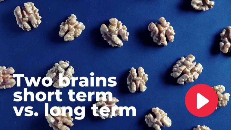 Two Brains: Short Term vs. Long Term
